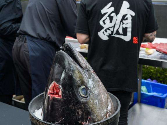 AHA Awards Pre-Dinner 2025