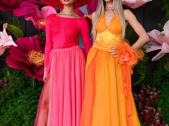 AHA Awards Pre-Dinner 2025