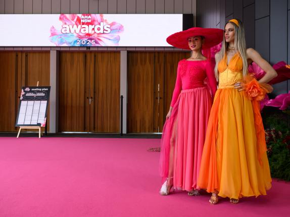 AHA Awards Pre-Dinner 2025