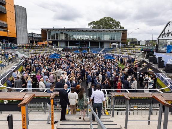 AHA Awards Pre-Dinner 2025