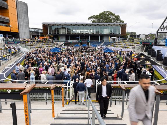 AHA Awards Pre-Dinner 2025