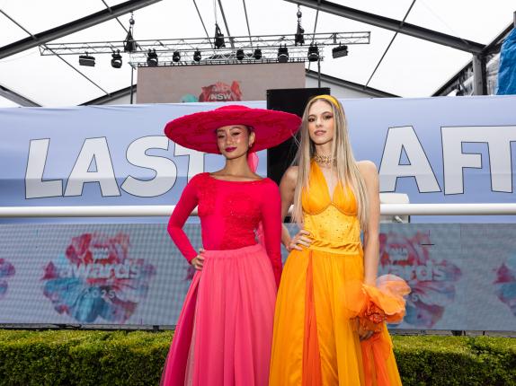 AHA Awards Pre-Dinner 2025