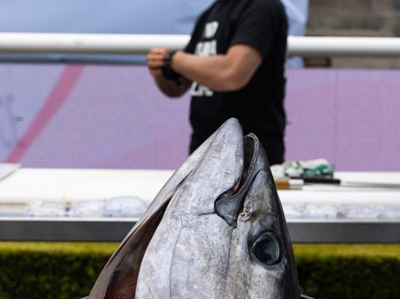 AHA Awards Pre-Dinner 2025