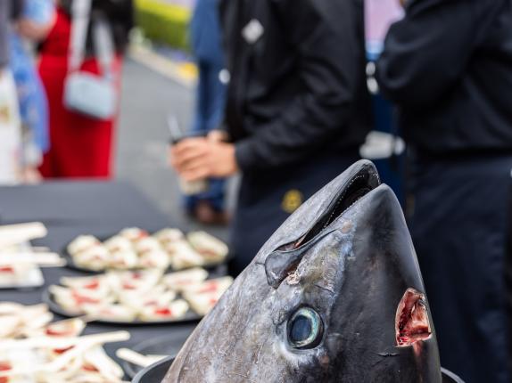 AHA Awards Pre-Dinner 2025