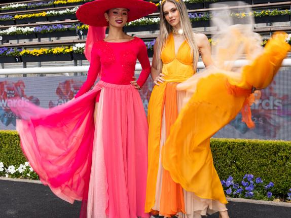 AHA Awards Pre-Dinner 2025